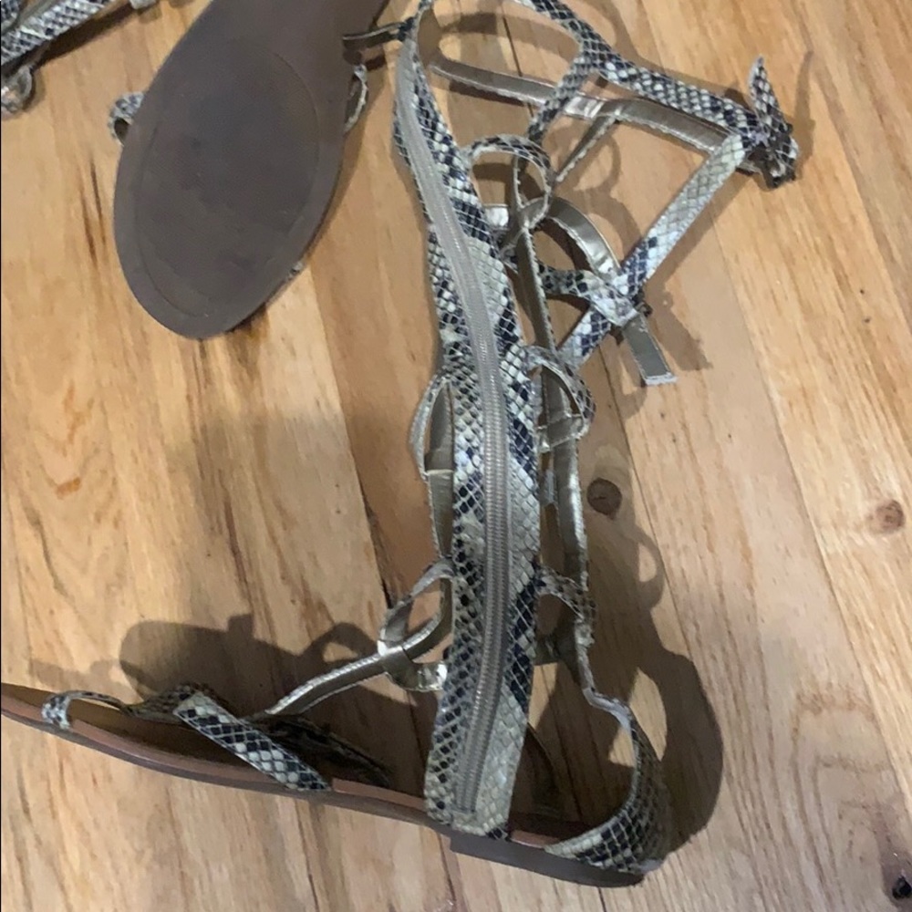 Bcbg Gladiators - image 2